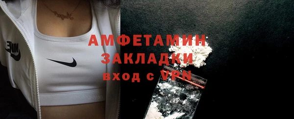 шишки Лагань