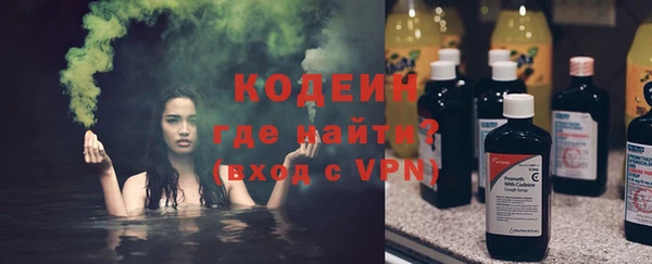 шишки Лагань