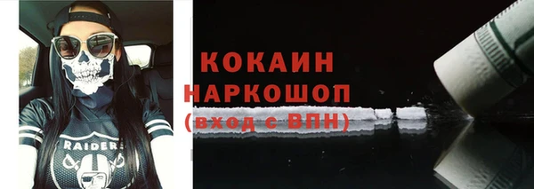 шишки Лагань