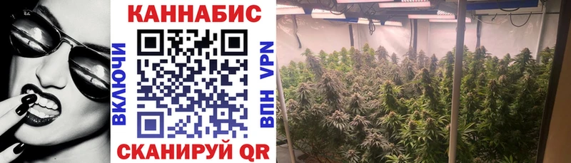 Бошки марихуана марихуана  Купить где  Апшеронск 
